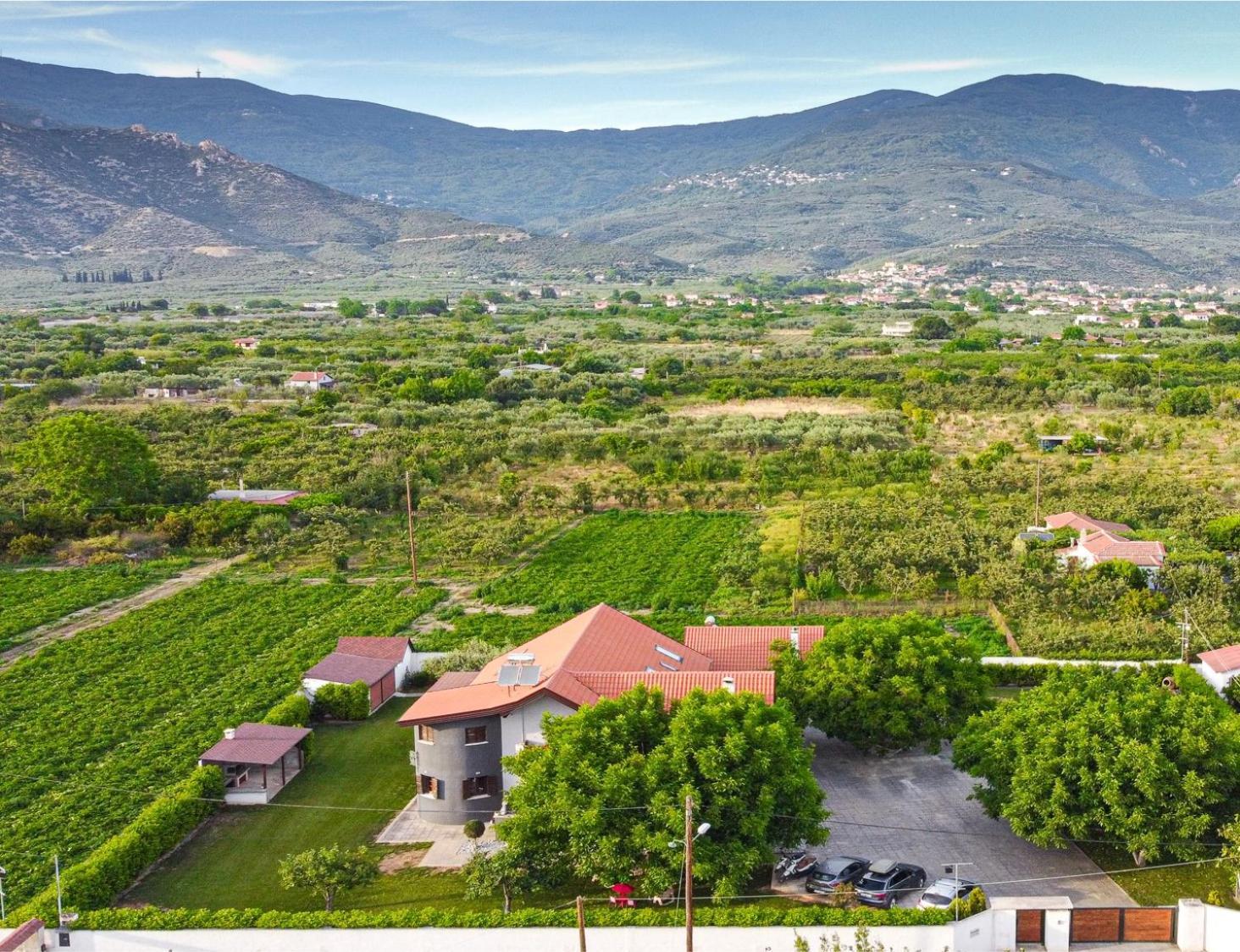 Countryside Luxury Studios Kato Lekhonia ภายนอก รูปภาพ